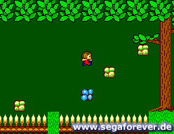 Alex Kidd in Miracle World Screenshot